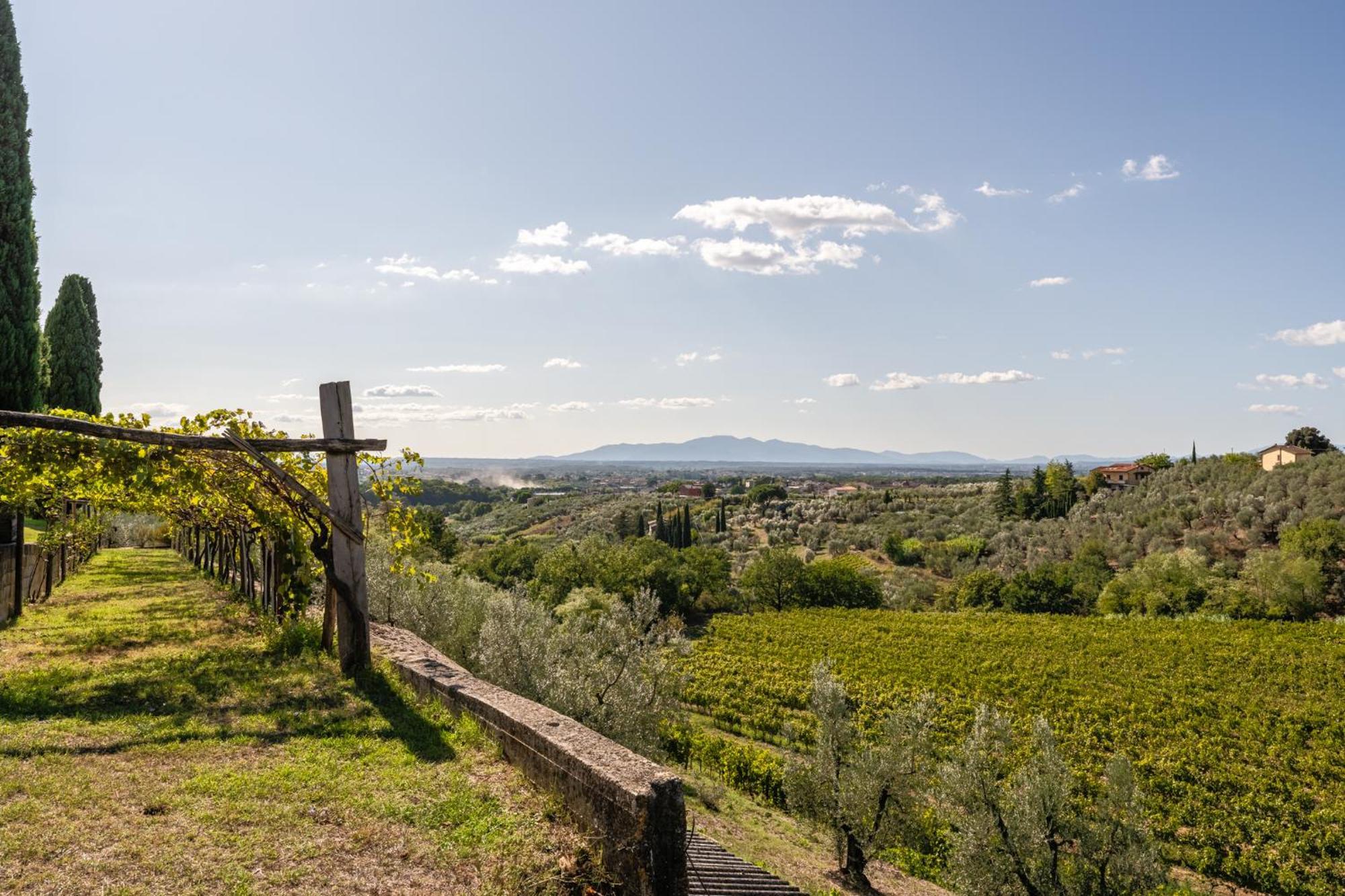 Agriturismo Fadanelli - Le Rondini ลัมปอเรคคิโอ ภายนอก รูปภาพ